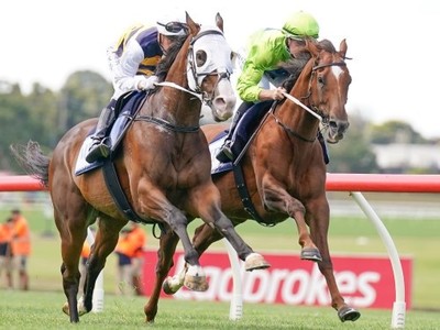 Thunderstruck gallop pleases Price Image 1